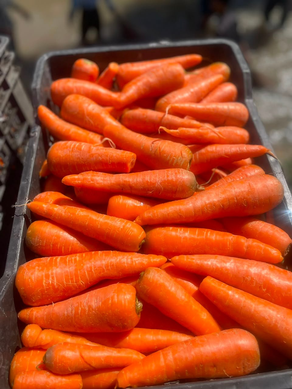 Carrots